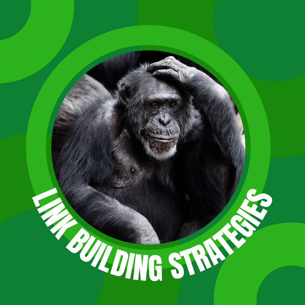 Link Building Strategies 2022