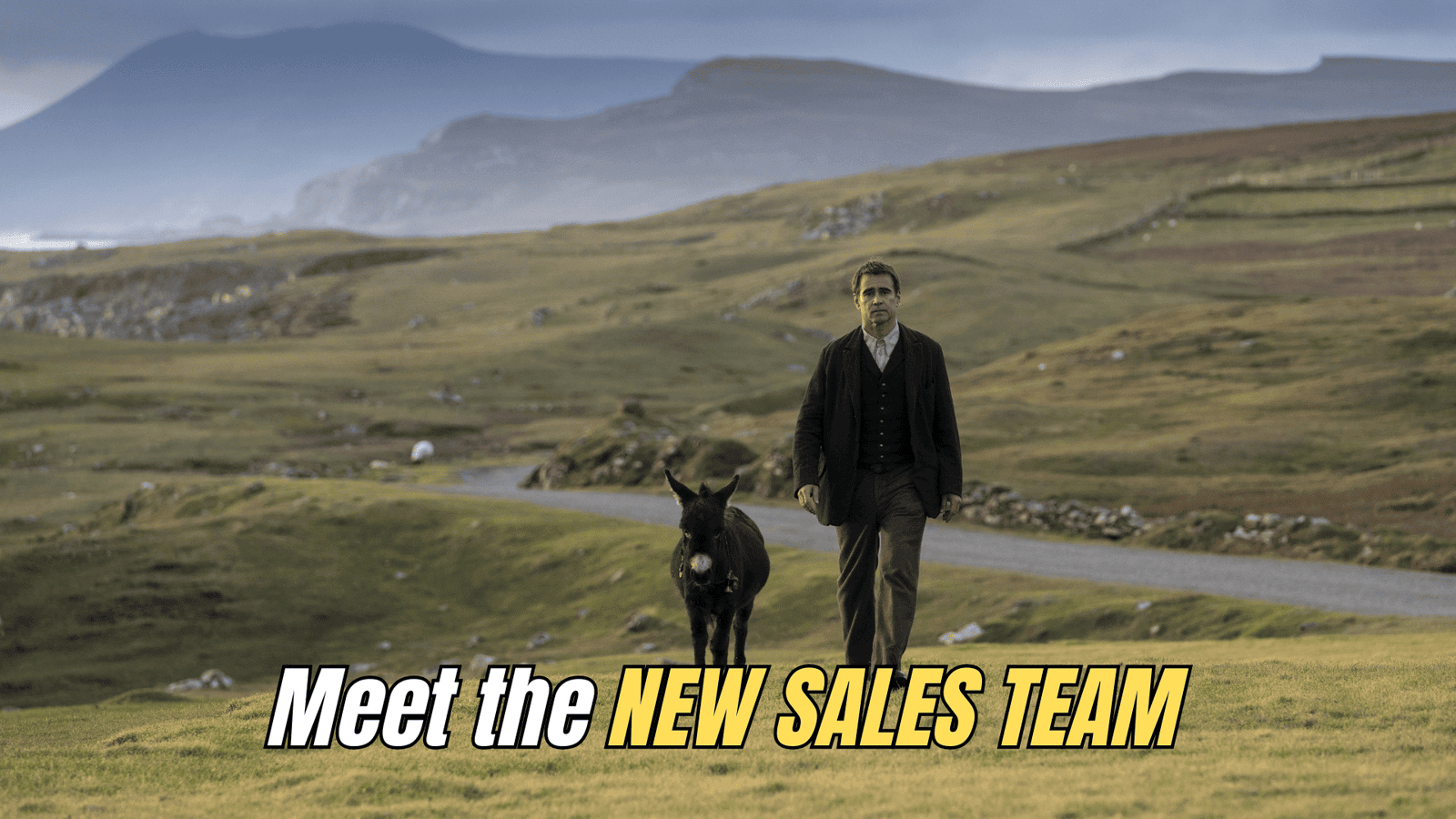 Meme of Colin Farrell in the Banshees of Inisherin starting a new SDR team